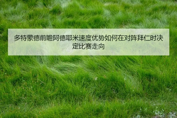 duo-te-meng-de-qian-zhan-a-de-ye-mi-su-du-you-shi-ru-he-zai-dui-zhen-bai-ren-shi-jue-ding-bi-sai-zou-xiang-3-279.jpg